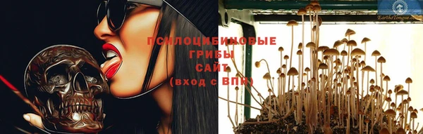 ешки Сосновый Бор