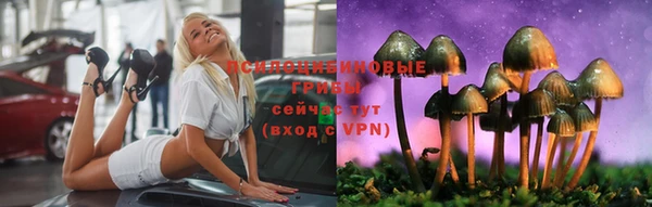 хмурый Верхний Тагил