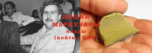 хмурый Верея