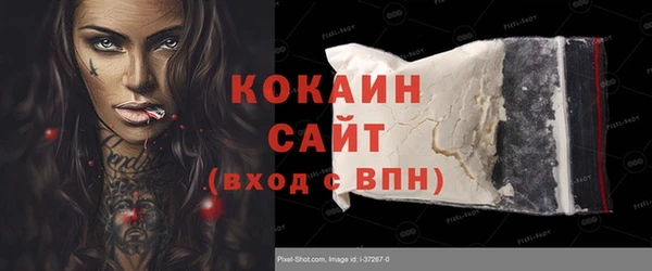 хмурый Верея
