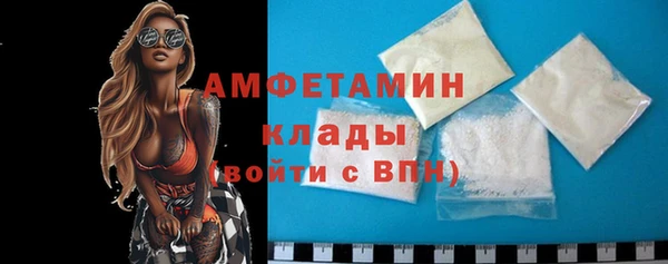 хмурый Верея
