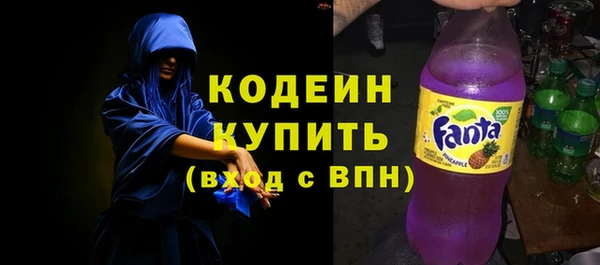 хмурый Верея