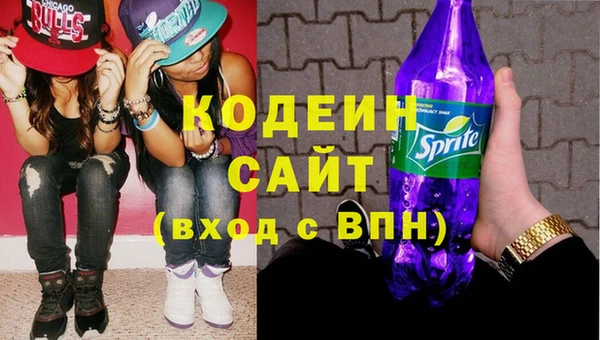 хмурый Верея