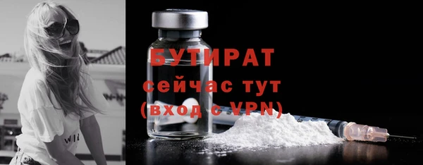 хмурый Верея