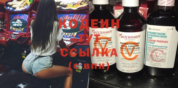 хмурый Верея