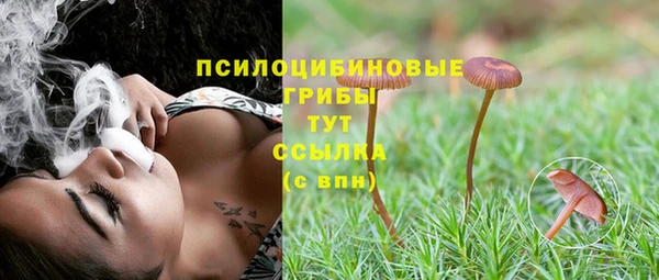 хмурый Верхний Тагил