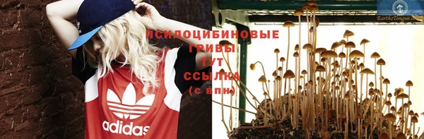 хмурый Верея