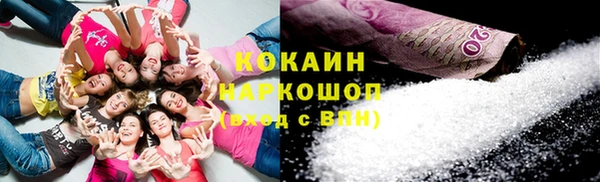 хмурый Верея