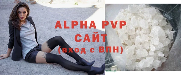 хмурый Верея