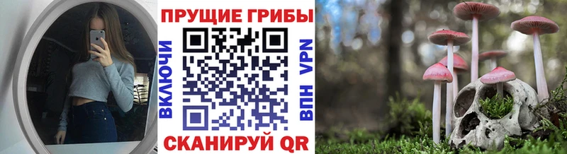 Галлюциногенные грибы MAGIC MUSHROOMS Катав-Ивановск