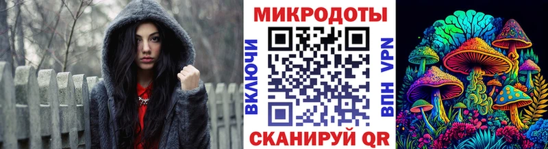 Галлюциногенные грибы Psilocybine cubensis Катав-Ивановск
